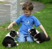 MiniMickeyPups6112007029xsm.jpg